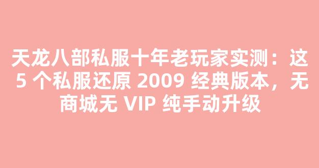 天龙八部私服十年老玩家实测：这 5 个私服还原 2009 经典版本，无商城无 VIP 纯手动升级